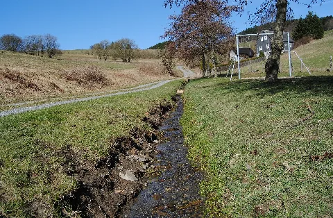 Haselnußweg, Willingen (Upland)