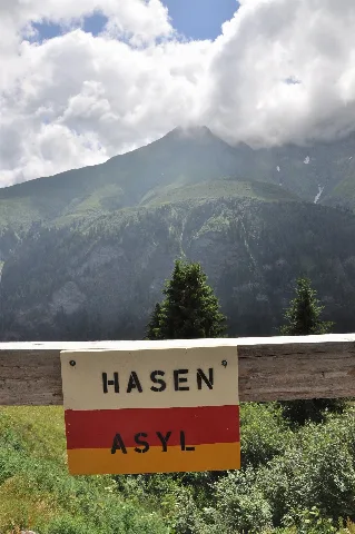 Hasenasyl (4809912006)