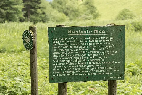 Haslacher Moor 0318