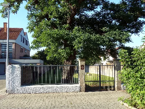 Hassloch Juedischer Friedhof 20120916 638E