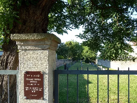Hassloch Juedischer Friedhof 20120916 642E