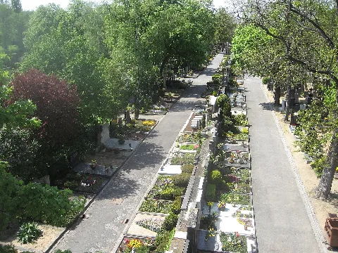 Hauptfriedhof Wuerzburg From Bridge In East 12