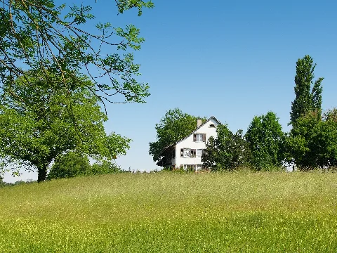 Haus Am Greifensee02