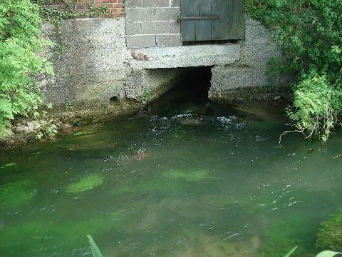 Hederquelle