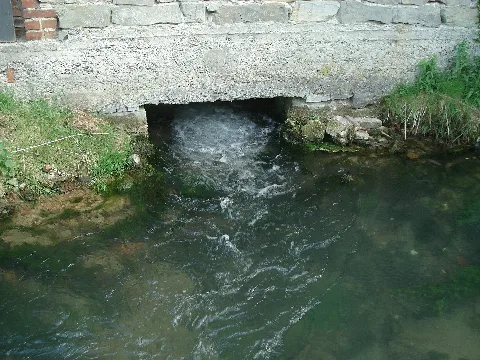 Hederquelle1