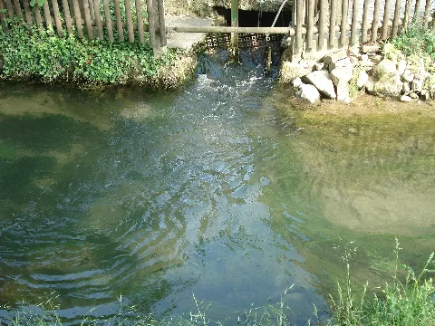 Hederquelle2