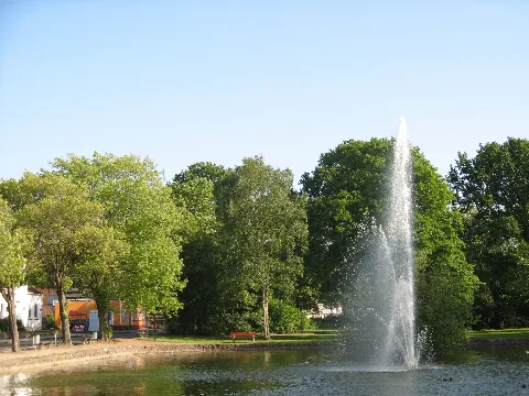 Heide Beim Wasserturm