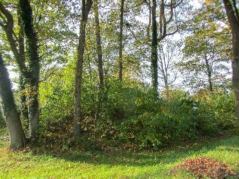Heide Grabhügel Galgenberg