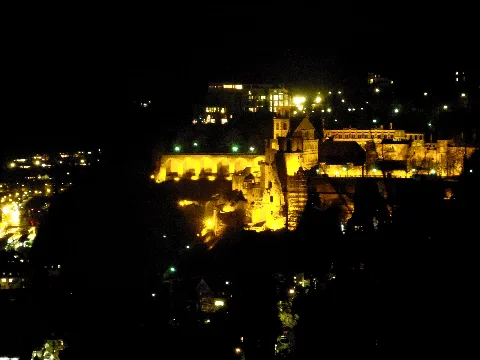 Heidelberg Castle From Riesenfels
