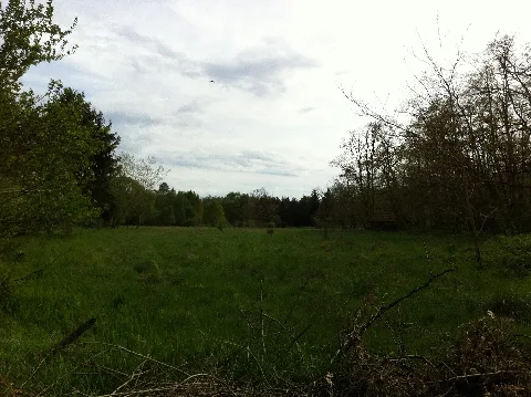 Heidewald 02