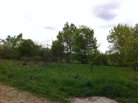 Heidewald 07