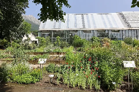 Heil Und Nutzpflanzengarten Botanischer Garten Uni Innsbruck 01