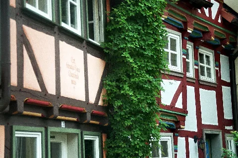 Heilbad Heiligenstadt, Fachwerkhäuser