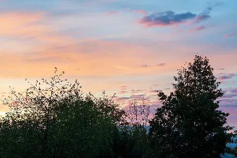 Heilbronn Böckingen Kreuzgrund Baumsilhouetten Vor Himmel Mit Morgenrot (1)