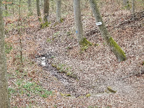 Heilbrunnen Bei Kusterdingen Am Hw5 (Schwarzwald – Schwäbische Alb – Allgäuweg) Panoramio