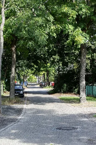 Bläßhuhnweg