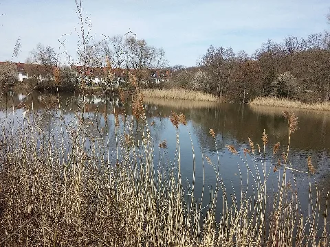 Heiligenteich Darmstadt