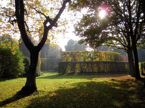 Heinekens Park Bremen 2012