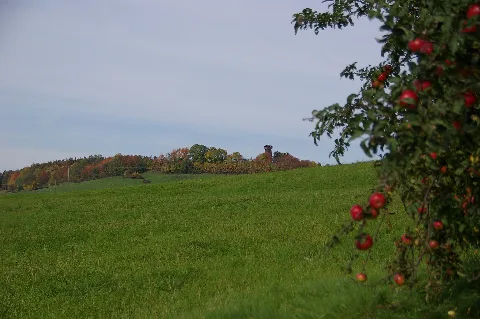 Herbst 09 1 Blick Zum Juxkopf Panoramio