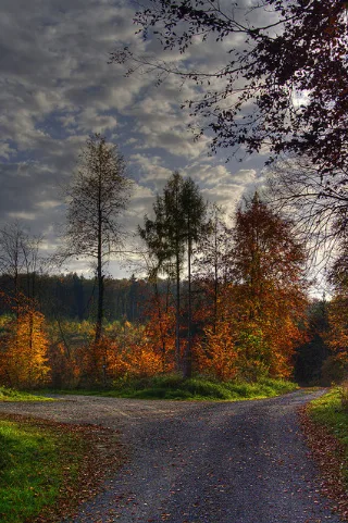 Herbst Beim Roten Brunnen Geo.hlipp.de 13