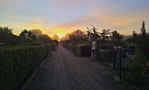 Herbstsonnenaufgang Im Frühnebel Kleingartenkolonie "Feierabend" Panoramio