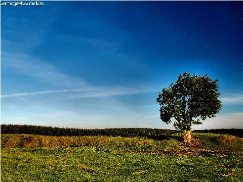 Herbststimmung In Schmiedefeld Panoramio