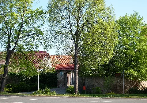 Heringenstadtms