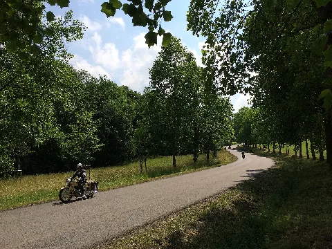Herkules Bergpreis Tulpenallee (1)