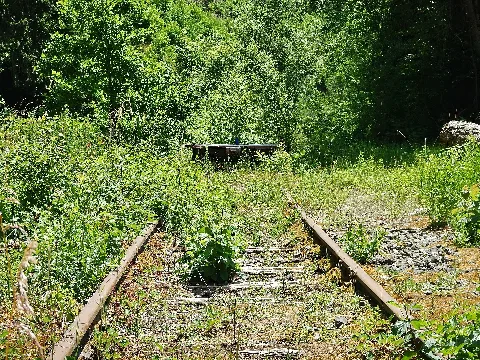 Hermann Hesse Bahn, S Bahn Fertigstellung Spätestens 2019 Geplant , Ehemalig Württembergische Schwarzwaldbahn, Stuttgart Calw, Eröffnet 1872, Eingestellt 1983 Panoramio (9)