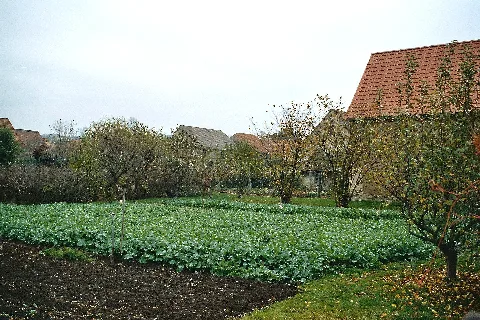 Herrengosserstedt Garten