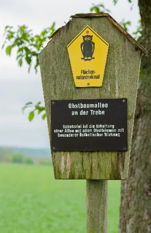 Herrnhut Obstbaumallee An Der Trebe 02