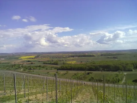 Heuchelberg Aussicht Geo.hlipp.de 24822