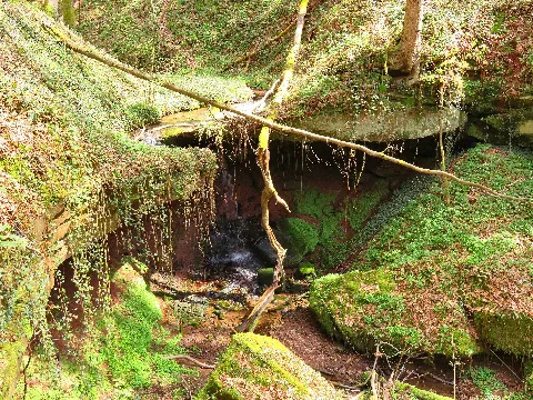 Hexenklamm Bei Pirmasens