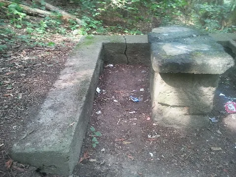 "Hexenstein" Im Holtenser Berg Wald (Niedersachsen,Göttingen)