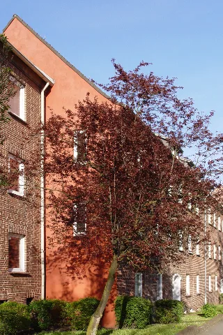Hh Denickestr 50