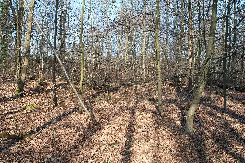 Hildener Heide 2016 200
