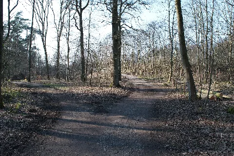 Hildener Heide 2016 202