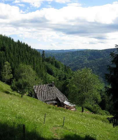 Hintereckhütte In Obersimonswald 1