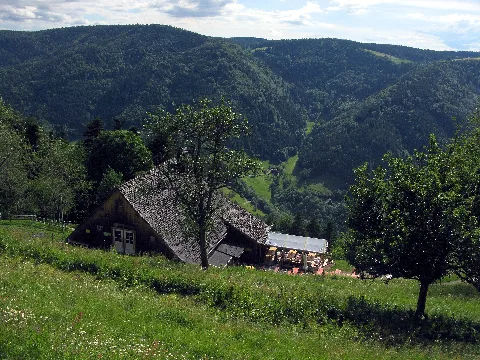 Hintereckhütte In Obersimonswald 4
