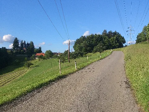 Hinterer Plattenweg Panoramio