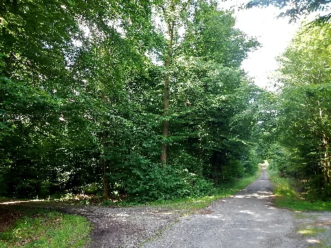 Hinterwald Panoramio