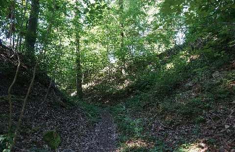 Hirschenleck 2