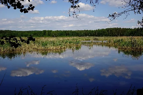 Hirtlohweiher 1