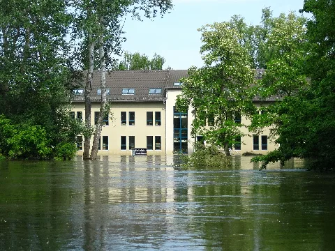 Hochwasser Magdeburg 2013 Rothehornpark Elbresidenz 2013 06 12
