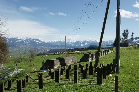 Höckerlinie Am Stoss
