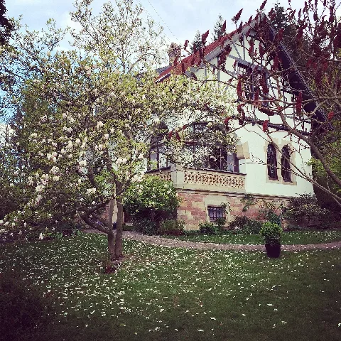 Hönigen
