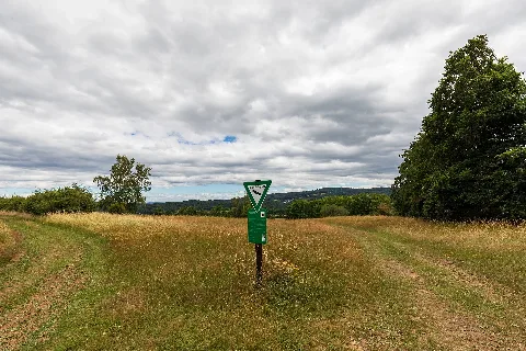 Hörbacher Viehweide 1
