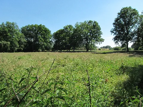 Hörstel Torflöcher Am Galgenkamp (St 101) 03