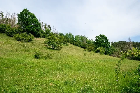 Höxter 2022 06 04 Nsg Rumberg (Dsc 8104)