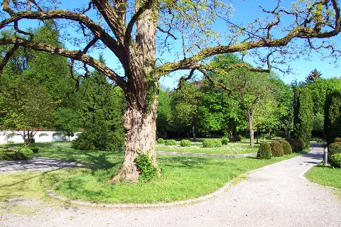 Hofgarten Panoramio (1)